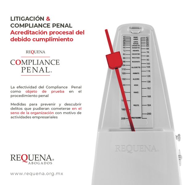 Litigación penal